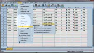 Reliability test Compute Cronbachs alpha using SPSS [upl. by Derrik]