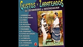 Gustos Y Zapateados De Guerrero Y Michoacán Vol 1 Album 2015 [upl. by Leihcar]