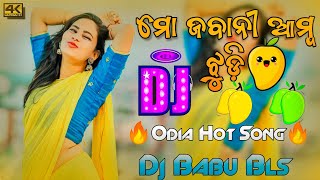 Mo Jabani Amba Jhudi Odia Song Dj  Odia Dj Song  Dj Babu Bls [upl. by Travus]