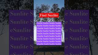 FindSunlite find puzzle shorts brainteasers [upl. by Rudin]