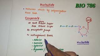 Nucleotide  Composition  purines amp pyrimidines [upl. by Nnaik676]