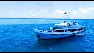 MY RESOLUTE LIVEABOARD  scuba diving holiday in Philippines  DIVE THE WORLD [upl. by Sivla]