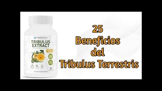 25 Beneficios del Tribulus Terrestris [upl. by Idonah]