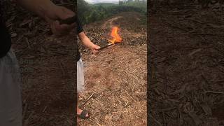 Create fire camping suvival shortsvideo bushcraft solo [upl. by Mychael958]