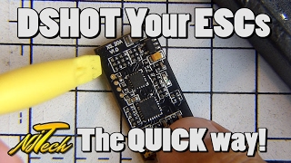 DSHOT your ESC the QUICK way [upl. by Nnylekoorb]