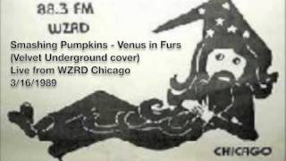 Smashing Pumpkins  Venus in Furs on 883 WZRD Chicago [upl. by Minica122]