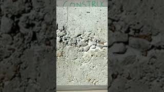 Honeycombing in concrete construction [upl. by Vallie]