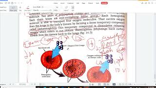 RESPIRATORY PIGMENTS  HAEMOGLOBIN  MYOGLOBIN  SINDH CLASS 11 NEW BIOLOGY BOOK FEDERAL CONCEPTS [upl. by Sucram]