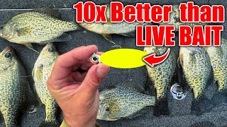 this New Lure OUT FISHES Live Bait 10 to 1 BEST Crappie amp Bass Winter Bait [upl. by Valer]