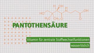 Pantothensäure – Alles zum Vitamin B5  Wofür wieviel und woher [upl. by Elocen]