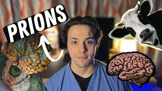 Prion disease Zombies Cows and Cannibalism [upl. by Walden711]