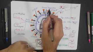 RetroViruses  HIV [upl. by Joeann]