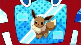 Eevee Pokédex Entry  Turning Heads And Training Hard [upl. by Ecinnaj]