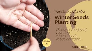 Winter Seeds Planting  Best method  Seeds kese grow kare [upl. by Hoshi]