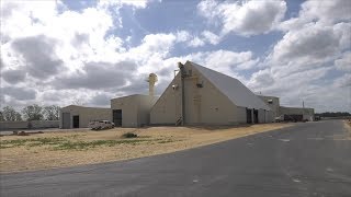 Douglas Georgia Is Home to Worlds Largest Peanut Sheller [upl. by Hafeenah]