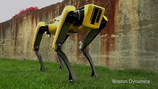 Новый робот от Boston Dynamics SpotMini [upl. by Santos99]