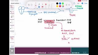 Sacubitril mechanism of Action cardiology 126  First Aid USMLE Step 1 in UrduHindi [upl. by Meggs]