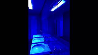 ribs by lorde but you’re in a bathroom at a party ORIGINAL [upl. by Oza]