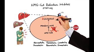 Pharmacology  DRUGS FOR HYPERLIPIDEMIA MADE EASY [upl. by Pennie]