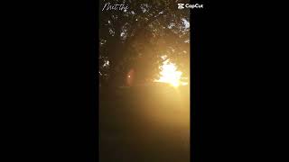 CoalDylan Gossett fypシ゚viral sunset [upl. by Nilram]