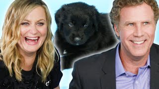 Amy Poehler amp Will Ferrell Play With Puppies While Answering Fan Questions [upl. by Mohun]