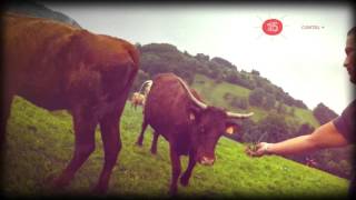 Cantal   WAZOO  Le Puy Mary  Auvergne  Polka dOlt  Le Claux  Rock Rural  Hymne [upl. by Beatrisa542]