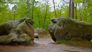 Gorges dApremont  Forêt de Fontainebleau  France [upl. by Blunk476]