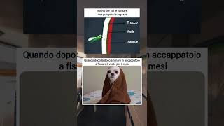 Zanzare x ragazze 😂 memes memeita memesdaily scuola divertente [upl. by Doherty]