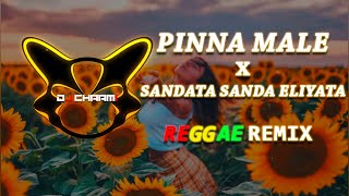 Pinna Male x Sadata Sada Eliyata Reggae Remix DJ CHAAMI [upl. by Yrok]