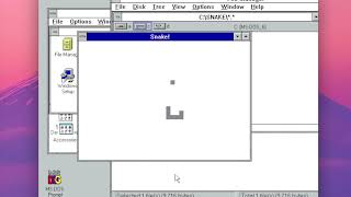 Windows 31 Snake [upl. by Anilosi154]