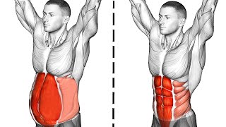 Abs Workout Abdominal Exercises [upl. by Kolva]