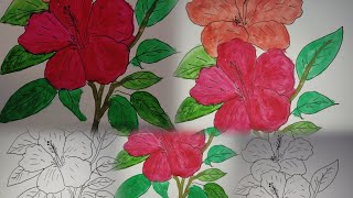 Beautiful hibiscus colouring video🌺🌺🌺 [upl. by Fred]