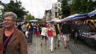 rommelmarkt en vogeltjesmarkt in Antwerpen [upl. by Guthrie]