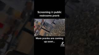 Screaming in public restrooms prank tiktok [upl. by Eserrehs]