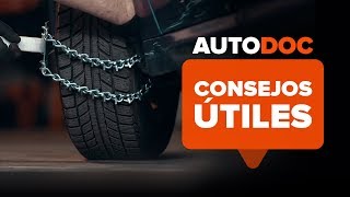 Cómo instalar cadenas para la nieve  AUTODOC [upl. by Luapnaej]