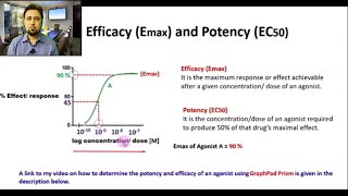 Efficacy  Potency  Junaid Asghar PhD [upl. by Einallem]