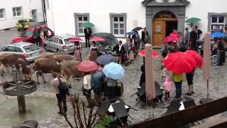 Viehscheid stört Hochzeit in Bad Hindelang [upl. by Alfons416]