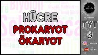 11 Hücre Prokaryot  Ökaryot [upl. by Joceline]