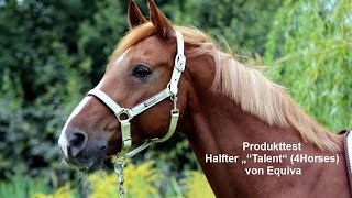 Produktvorstellung  Halfter quotTalentquot [upl. by Sterrett398]