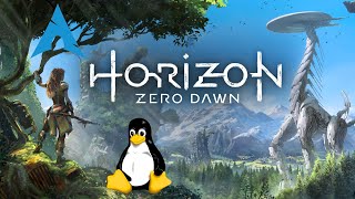 Horizon Zero Dawn  Linux  Gameplay [upl. by Kassie]