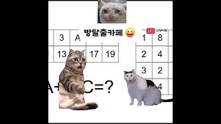 방탈출카페 공감 cat 고양이 고양이밈 [upl. by Aima]