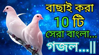 বাছাইকরা ১০ টি সেরা বাংলা গজল  ইসলামিক গজল শান্তির বাণী EarningWallah gojol [upl. by Norred]