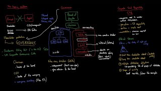 Board committees  BT 52 [upl. by Herold175]