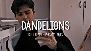 Ruth B  Dandelions  Male Version Lyrics [upl. by Airehc]