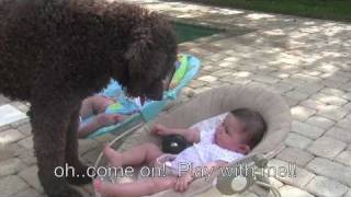 Dog wants to play fetch with identical twin babies [upl. by Nuahsar]