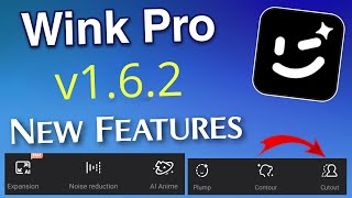 Wink App 162 New Features with latest update  Wink new update [upl. by Mighell]