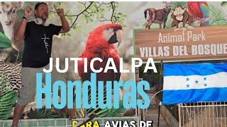 zoologico que puedes visitar en tu visita por JUTICALPA HONDURAS 🇭🇳 🇭🇳 🥰 [upl. by Adnahsal]