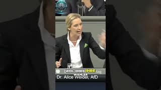 Alice Weidel Steuergelder oder Parteispenden Die Heuchelei der Politik [upl. by Norraj408]