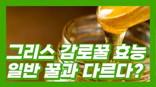 그리스 천연 감로꿀 효능 폴리페놀 음식으로 추천할 수 밖에 없는 이유 [upl. by Wilfreda377]