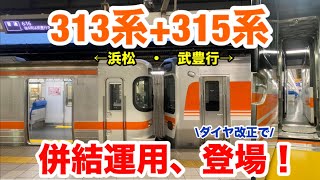 【浜松・武豊行き】313系と併結運転する315系が登場！ [upl. by Hctub770]